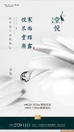 施帅采集到堂悦