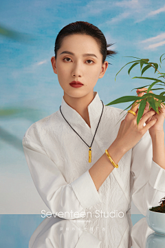 用户m0QVLgMl采集到IP