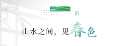 不朽จุ๊บ采集到ico小标