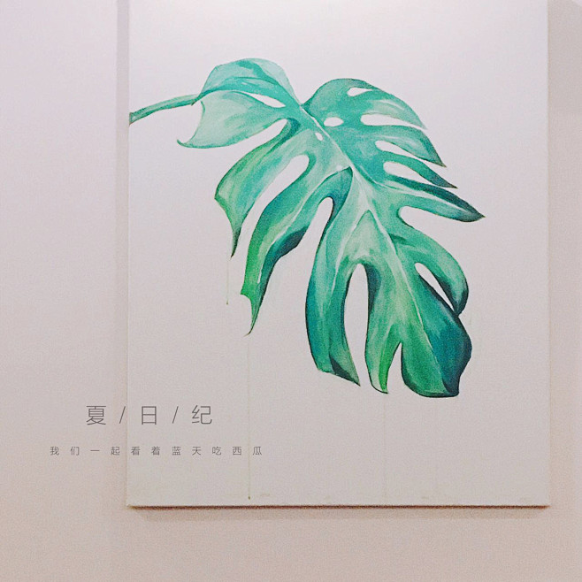 龟背竹