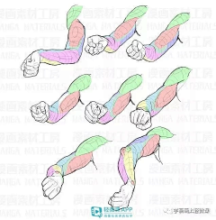 白桃半岛铁盒采集到肌肉