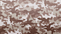 “Camouflage brown”的图片搜索结果