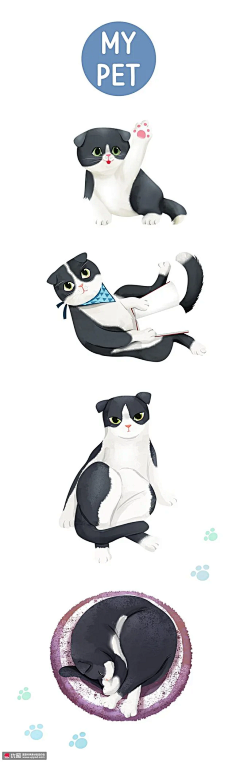 tank-cn采集到猫