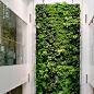 高级定制 高仿真植物墙面仿真草坪装饰垂直绿植墙绿化墙假绿植-淘宝网