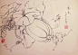 钢笔花卉白描达人叶志军先生的钢笔画分享