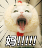 妈