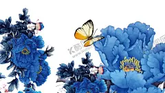 牡丹花 【酷图网】牡丹花,牡丹花素材,牡丹花元素,牡丹花背景,牡丹花底纹,牡丹花封面,牡丹花标志,牡丹,牡丹素材,牡丹元素,牡丹背景,牡丹海报,牡丹封面,牡丹工笔画,牡丹花工笔画,牡丹油画,牡丹花油画,牡丹花摄影,牡丹花剪影,金色牡丹,金色牡丹花,牡丹花花瓣,牡丹花瓣,牡丹剪影,国画牡丹,牡丹花国画