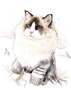 速画本采集到画猫，宠物画像，猫咪画像，猫咪手绘