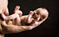 baby wallpaper (#1512708) / Wallbase.cc