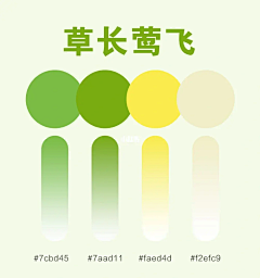 大脑运转中采集到配色