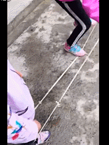 富贵花开1采集到孩子傻了吗？