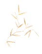 中国风水墨花鸟树木意境元素