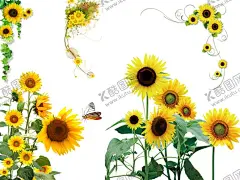 花朵 【酷图网】向日葵素材,花草素材,卡通花朵,一束花,母亲节,女神节,花朵,春天花朵,春天,花朵素材,鲜花装饰画,展板海报素材,超清花朵,花纹插画,美丽鲜花素材,花束,花卉,花环,底纹花朵,向日葵,葵花,植物花草,花纹花边,欧式花纹,时尚,花边框素材,卡通花饰,唯美花朵,花藤