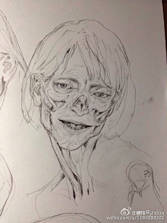 妙蛙子采集到基础练习