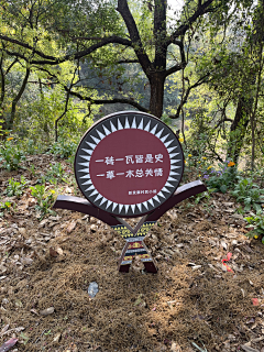 bulingbulin采集到民族特色-苗族