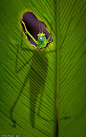 (5) Pinterest