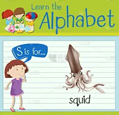 闪卡,英文字母S,乌贼,可爱的,白色,单词,字母,野生动物,演讲