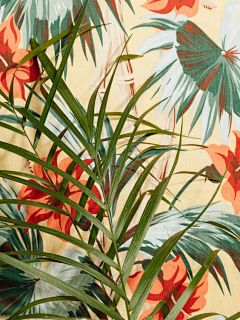 炸鸡蘑菇采集到插画收集