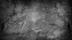 -1昂、采集到底纹