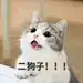 小朋友汪汪