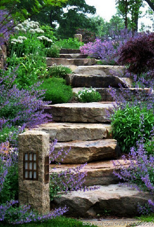 台阶，让景观充满立体韵律美