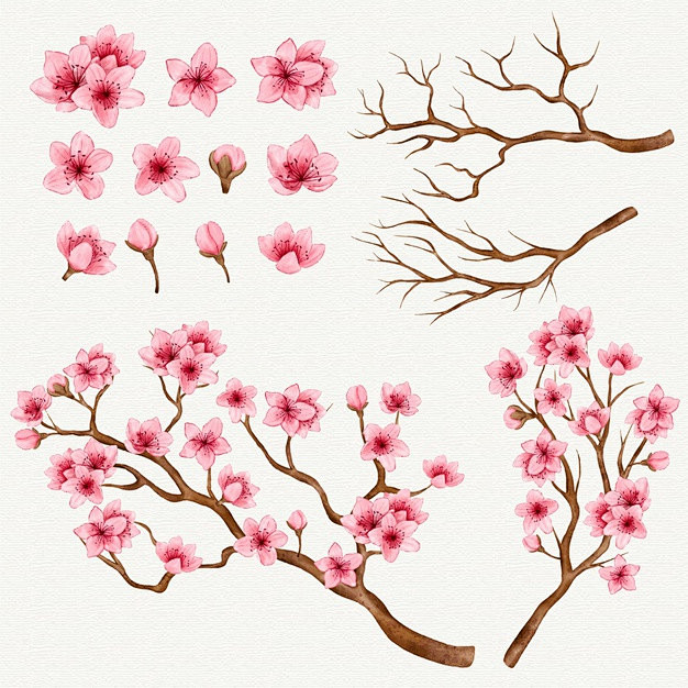 樱花树，树枝，桃花，树木矢量图素材