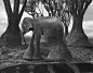 Thomas Barbey 双重曝光摄影：梦境般的超现实想象世界 - 有意思吧