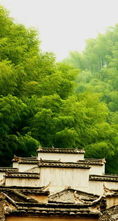 Anan_🌸采集到手绘壁纸摄影图