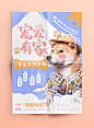 可爱风格萌宠海报版式设计【排版】诗人星火课程学员作品（侵权必究）
