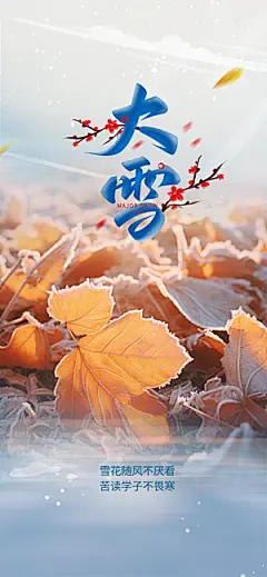 二十四节气大雪宣传活动海报