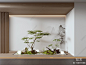 新中式景观植物造景3D模型下载【ID:1146111383】_知末3d模型网
