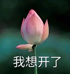 表情包