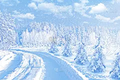 冰雪覆盖的树木。圣诞节的背景