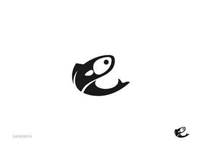 Anchovy fish #1