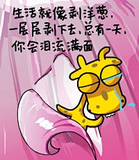 鞠农采集到卡哇伊