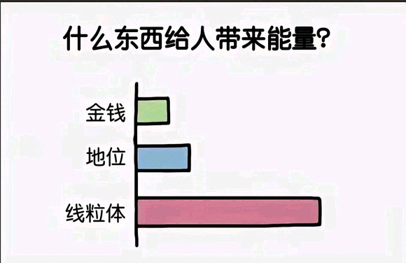 8u门交出你们的图图，没存货了_吊图吧_...