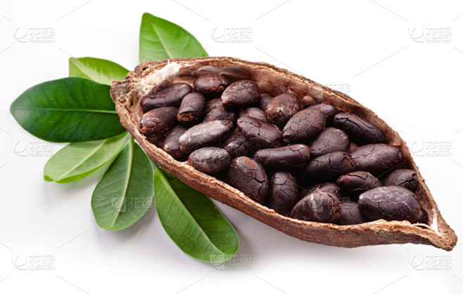 可可,可可豆,可可树的果实,褐色,水平画幅,无人,干花,生食,开着的,豆