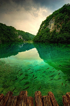 讨厌绿采集到素材背景