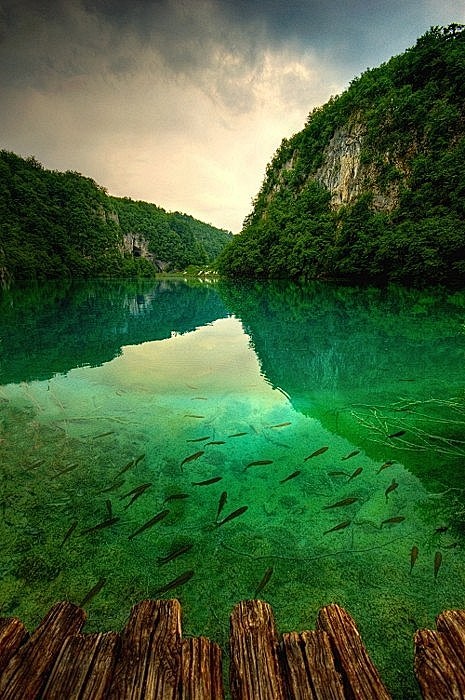 Plitvice湖，克罗地亚。  （克罗...