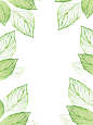 手绘植物 插画 边框 png