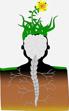 思维发散免抠素材_新图网 https://ixintu.com 大脑 思维 植物