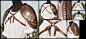 65705499gy1h1vjxanjiwj20sg0cyn0f.jpg (1024×466)