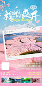 仙图-贵州花季旅游海报