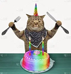 猫,独角兽,生日蛋糕,贺卡,餐刀,蛋糕,梦想,童话故事,有角的,彩虹