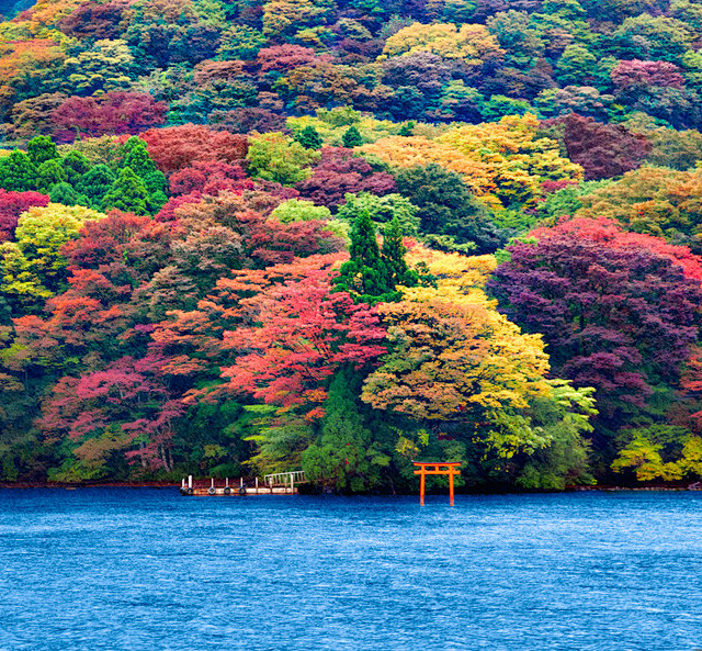 湖芦之湖，日本