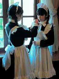 【设计素材.装饰素材】