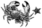 crab Food  scratchboard etching engraving black and white