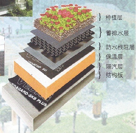 屋顶花园设计要点 - 上海隽涛绿化发展有...