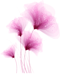 Kamill采集到花