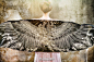 我想飞——来自澳大利亚艺术家Roza Kamitova设计的一组霸气的鸟纹披肩。
